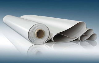 防水卷材十大名牌 中国防水涂料十大品牌